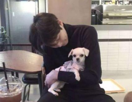 描写爱情浪漫的优美语句精选