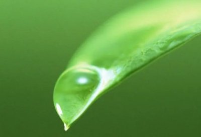 ​东成西就2011经典台词_经典台词