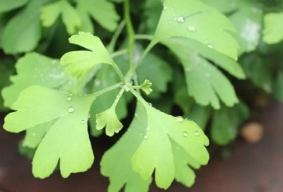 ​唯美微博语录，爱不是总盯着对方，而是注视同一个方向。