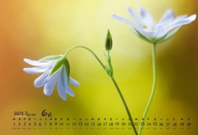 ​咱们结婚吧经典台词