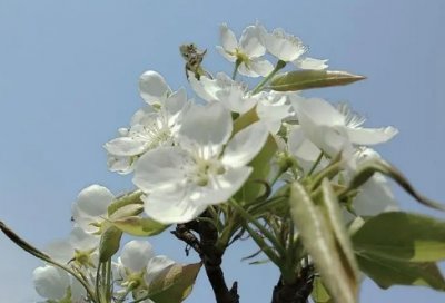 ​乐嘉老师经典语录，你的痛苦不是因为我