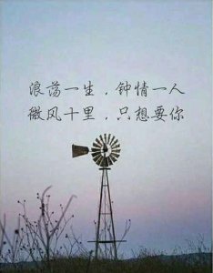 ​只钟情于一个人的句子 表示只钟情于一人的句子有哪些