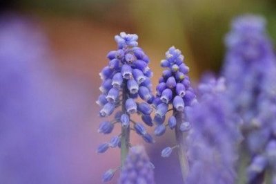 ​对老婆失望的句子说说心情