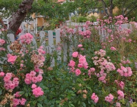 表达快乐开心的句子说说心情 开心快乐的经典句子