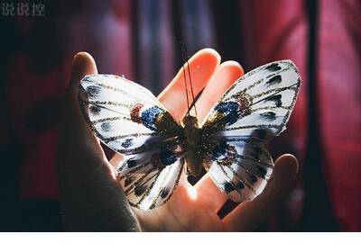 郭碧婷经典爱情语录