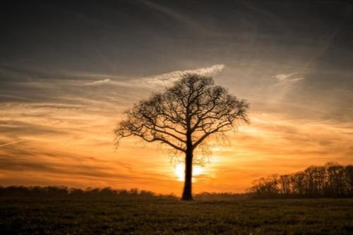 描写爱情的唯美句子浪漫 描写爱情的唯美句子