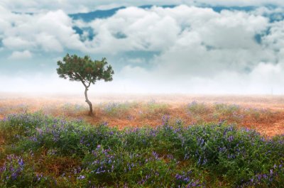 ​适合发爱情说说配图 爱情说说我的心里话