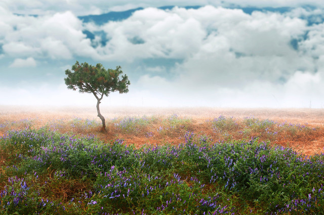 适合发爱情说说配图 爱情说说我的心里话