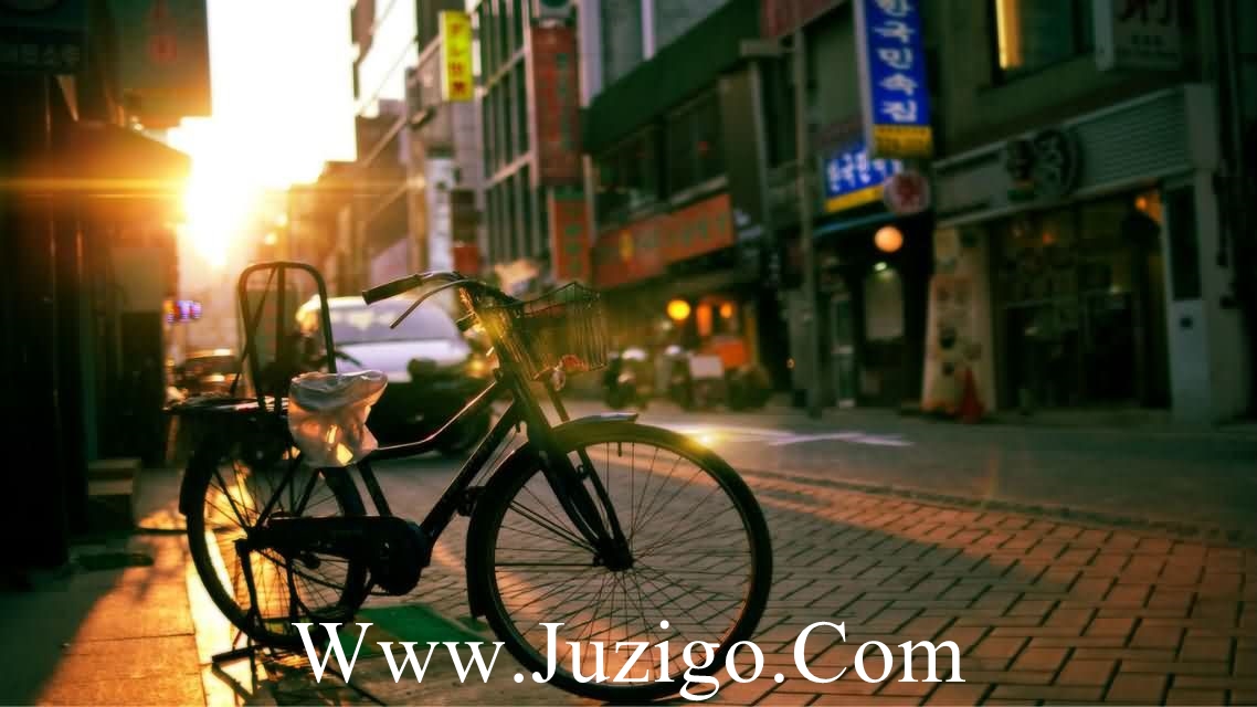 人爱情大度宽容的句子(18句)