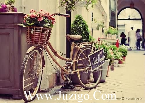 哄另一半的爱情的句子哄对象的句子(精选18句)