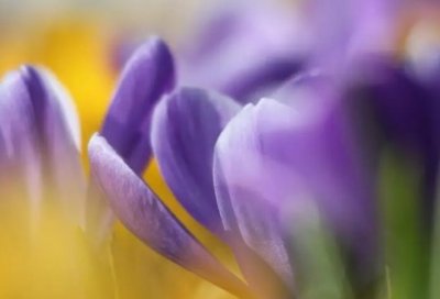 ​lol六个字古风名字冷酷帅气（搞笑lol六个字古风名字）