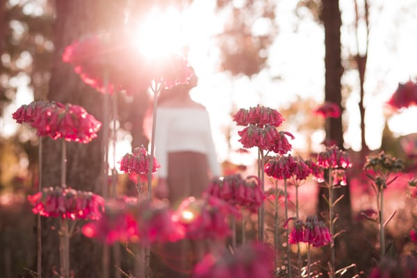 对爱情感到伤心的句子