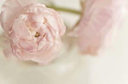 写给男朋友的简短情话 最暖心的情话给男朋友短句