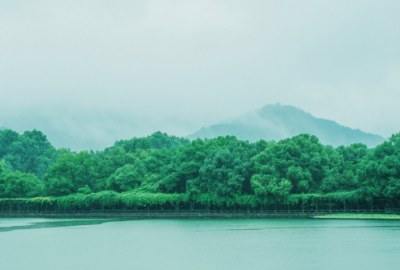 ​理科学霸土味情话 理科生的浪漫表白句子18句