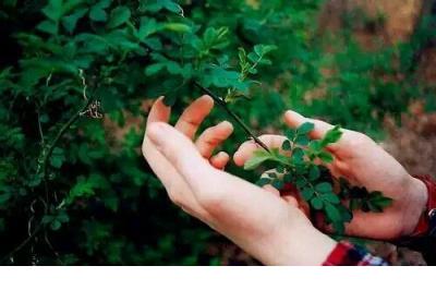 小说里的霸气句子