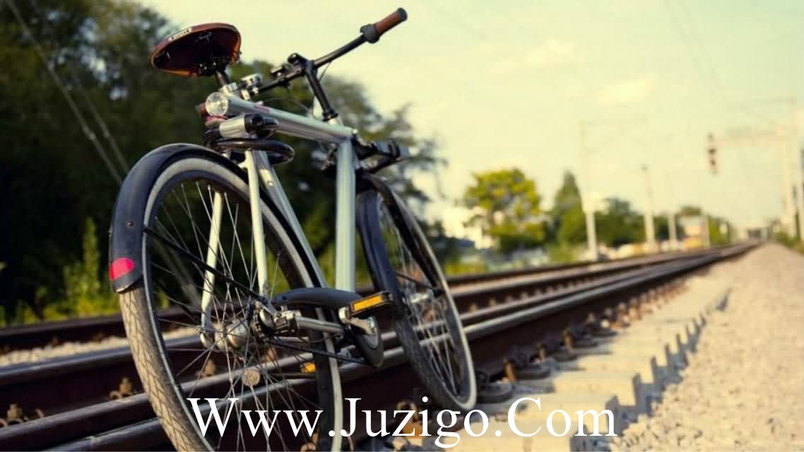 爱情的情话句子