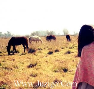 ​跟花有关的爱情句子带花的爱情句子(精选19句)