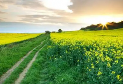 ​爱你永远优选58句