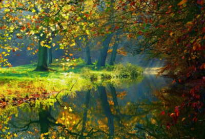 ​竞选演讲稿范文格式