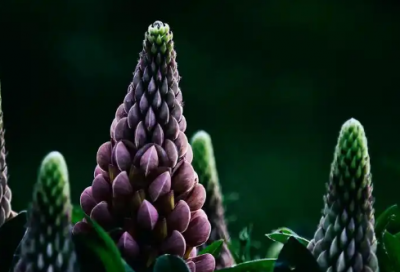 ​城市空间演讲稿范文