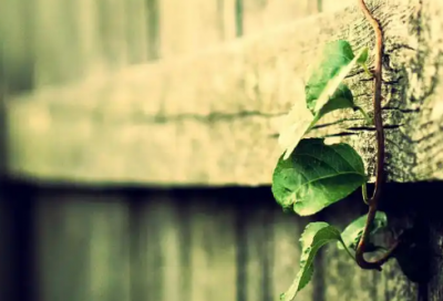 ​心灵之约演讲稿范文