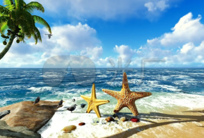 ​求职信会展专业