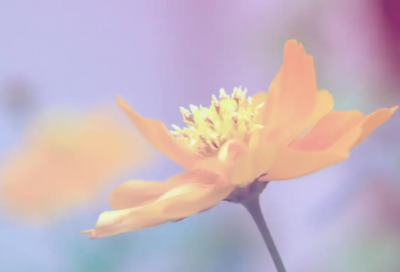 ​工作演讲稿范文