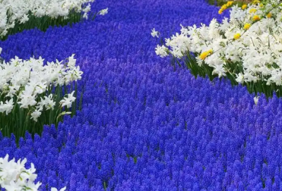 ​聚集的反义词