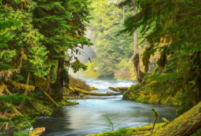 ​赞美小区演讲稿范文