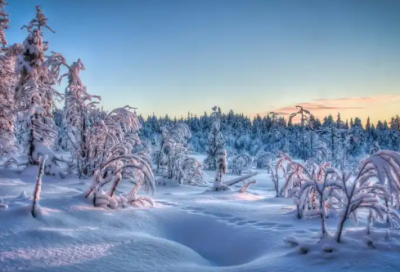 ​myhero演讲稿范文