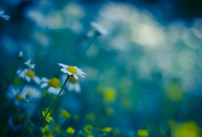 ​分手后感动对方的话精选47句