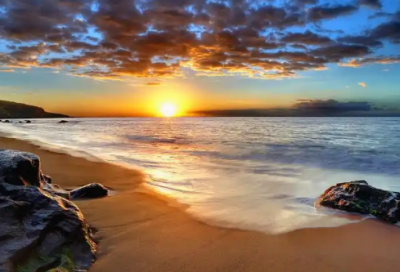 ​中烹专业的求职信