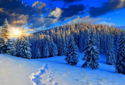 ​入党演讲稿模板范文