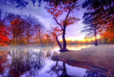 ​女生好听的网名小清新62个精选