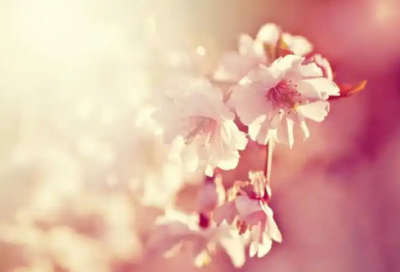 ​转专业求职信