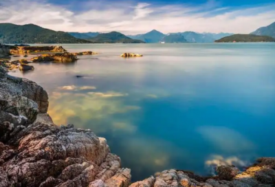 ​机电一体化专业英文求职信