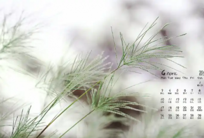 ​求职信养老专业