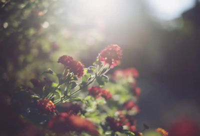 ​姐妹们聚会拍照开心语(姐妹合照发朋友圈语言)