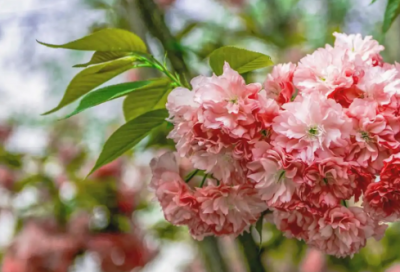 ​求职电梯演讲稿范文