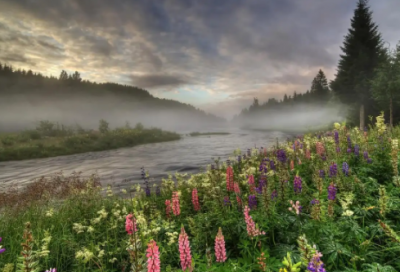 ​论语摘录和赏析优选42句