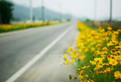 ​谢谢红包21句