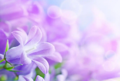 ​安全童谣精选64句