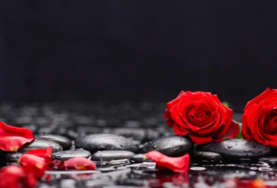 ​感恩父母演讲稿范文