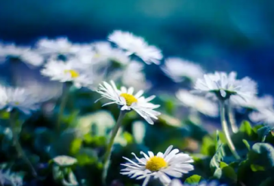 ​三伏天应该注意些什么