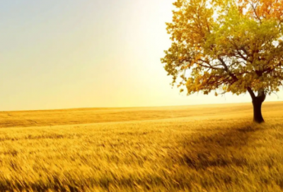 ​我一个人吃饭旅行到处走走停停【优选45句】