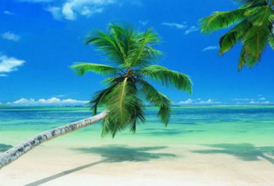 ​专业求职信英语