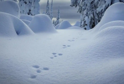 ​装潢专业求职信