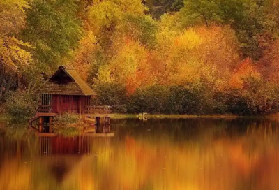 ​协会申请书范文