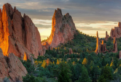 ​军礼阅读答案