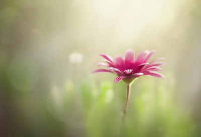 ​青春经典演讲稿范文